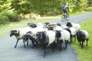 Pyrenäen Cross | Foto: B. Wenzl, F. Hartl