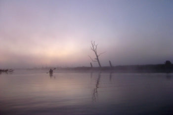 ein Kajakfahrer auf einem Fluss in der Morgendämmerung
