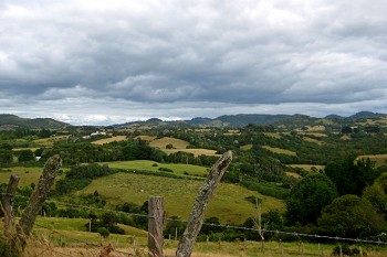 Grüne Hügel auf Chiloé