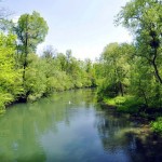 Wenig spektakulär, dafür lieblich: die Rheinauen. | Foto: Sabine Dettling