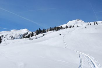 Skitour auf den Plattenkogel. | Foto: www.grossarltal.info/Sepp Kendler