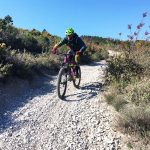 Der adidas Trail Cross Protect bietet viel Flexibillität auf rasanten Abfahrten. | Foto: Sven Papendick