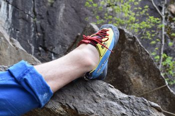 Hooks fallen mit dem Chimera leicht. | Foto: Martin Tekles