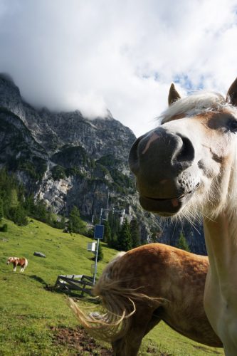 Freundliche Begrüßung im Puittal. | Foto: Arnold Zimprich