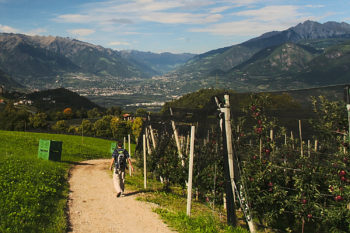 Auf dem Weg zum Jakobsweg und St. Hippolyt. | Foto: Sabine Dettling