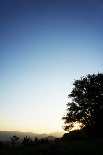 Traumhafte Abendstimmung am letzten HRP-Übernachtungsort. | Foto: Arnold Zimprich