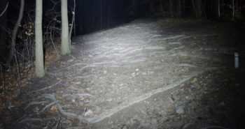 Der Lichtkegel kann auch beim Lauftest überzeugen. | Foto: