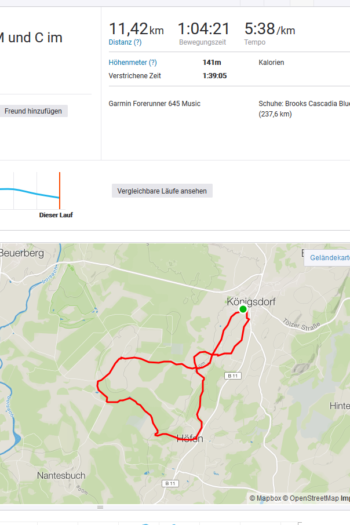 ...Laufrunde mit den Kindern im Chariot...