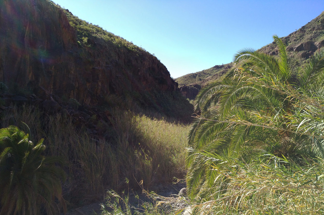 ... und rot- schwarze Felswände inmitten sattgrüner Landschaften.