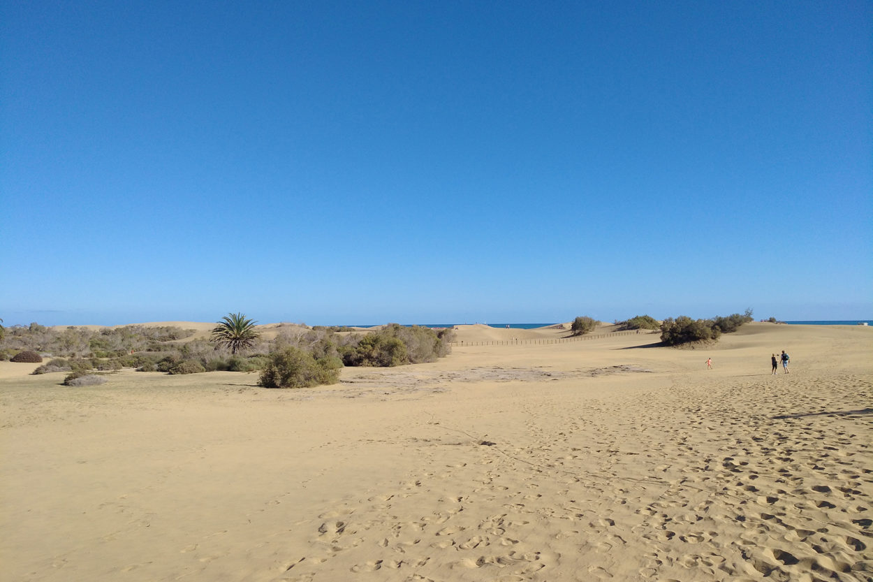 Gran Canaria bietet ein landschaftliches Wechselspiel. Im Norden erwarten uns Dündenlandschaften...| Foto: Christoph Stoll
