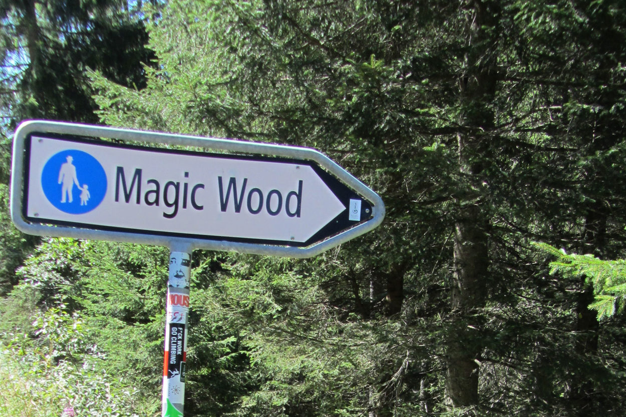 Schild Magic Wood