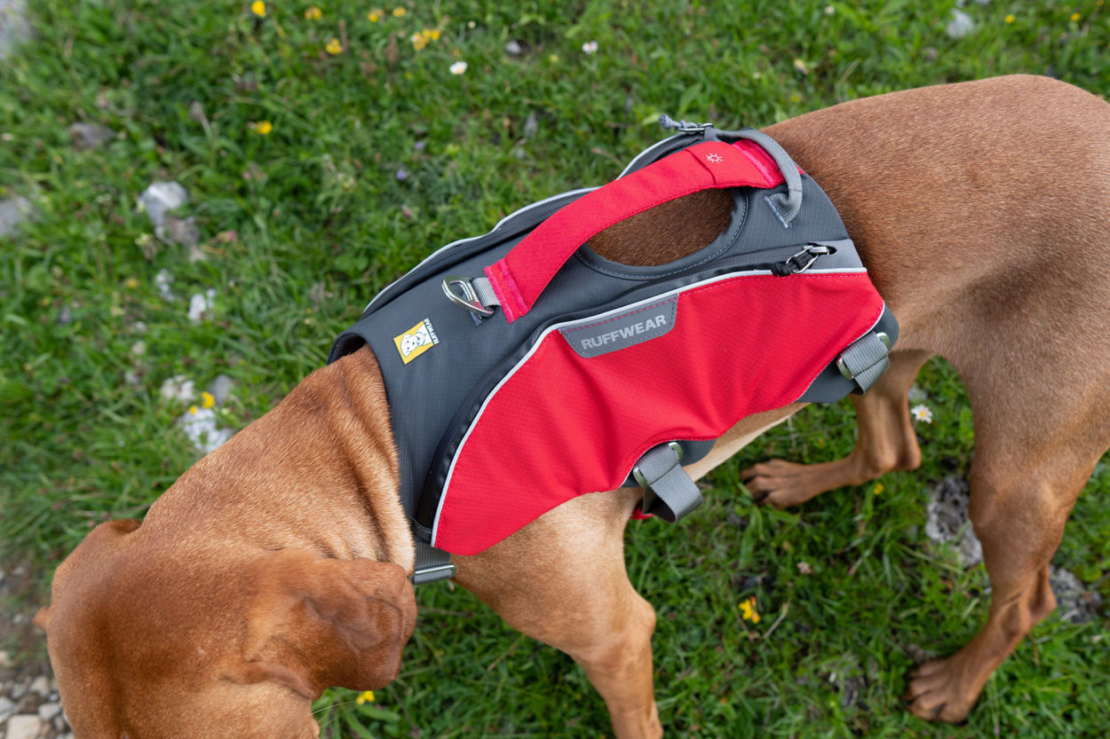 Das Geschirr mit seine breiten R&uuml;ckenteil und zwei kleinen Seitentaschen.