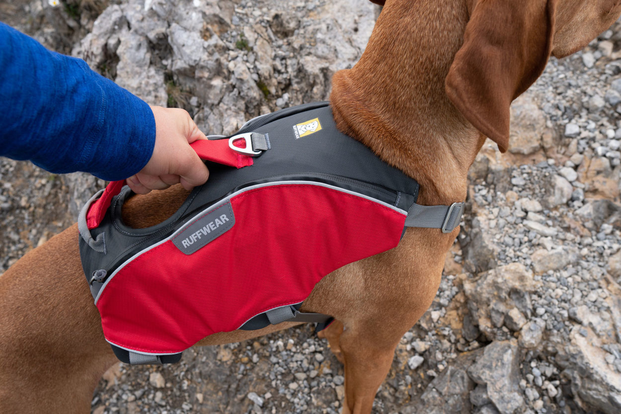Griff am Ruffwear Webmaster Pro Hundegeschirr