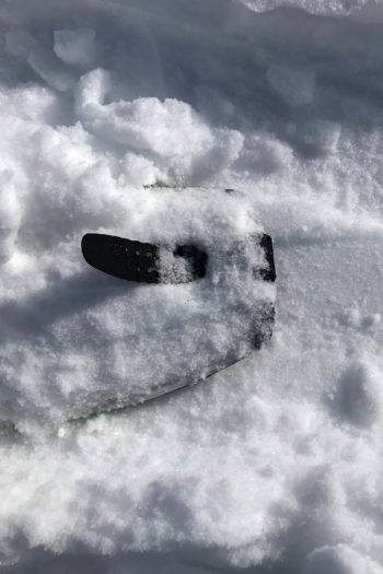 Das Ende eines Ski mit fixiertem Steigfell.