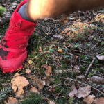 Ein schlammverspritzer roter Salomon Speedcross 5 Laufschuh auf Waldboden im Test.