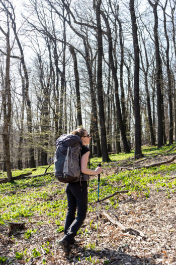 Wanderin in früjhlingshaftem Wald von hinten