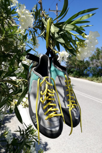 Kletterschuhe hängen in Busch mit weißen Blüten