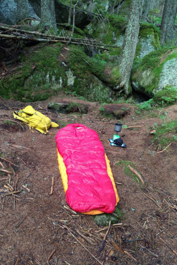 Roter Schlafsack Glacier 700 und orangene Isomatte auf einem Waldboden