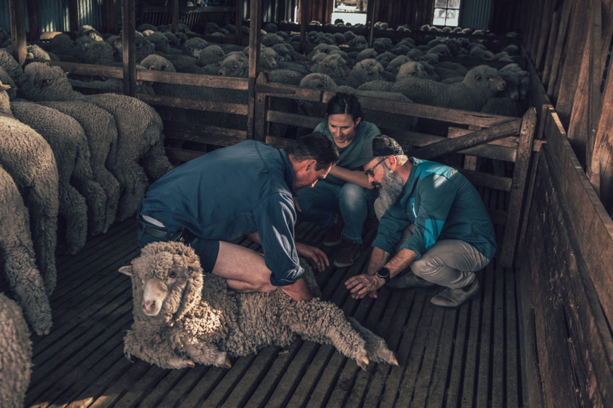 Tierschutz ist ein hohes Gut. | Foto: Ortovox