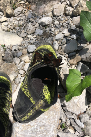 Der Meindl Pure Freedom im Rucksack