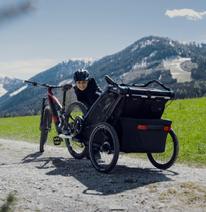voxom fahrradständer frs4 Zweibein - Universal Zweibeinständer - Höhenverstellbar Lenkerkorb 